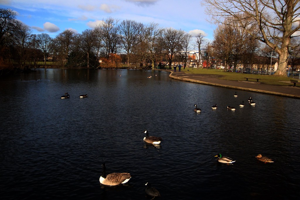 [2827] Hillsborough Park Lake Hillsborough Park, Sheffie… Flickr