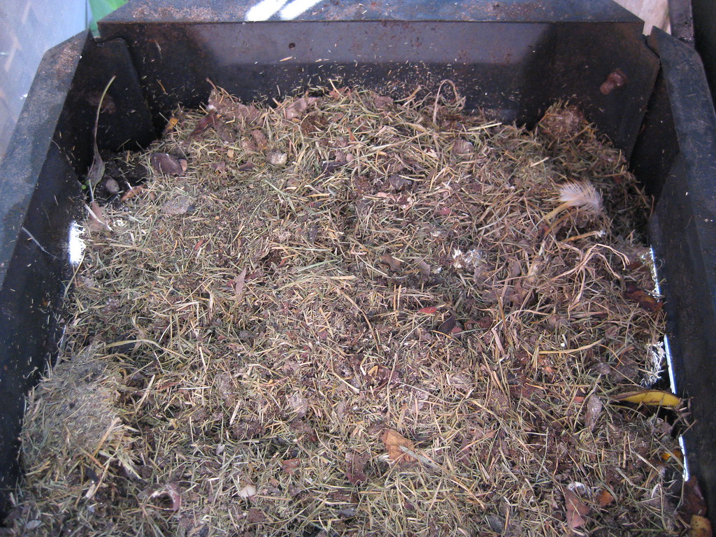 Hay Chicken Bedding in Compost Recycling ideas for grass c… Flickr