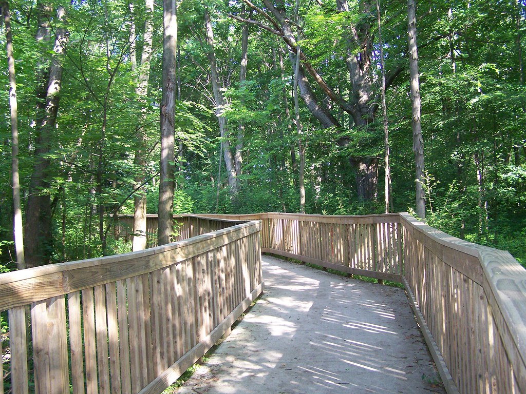 Abernathy Park Wooden walkway at Abernathy Park in Davison