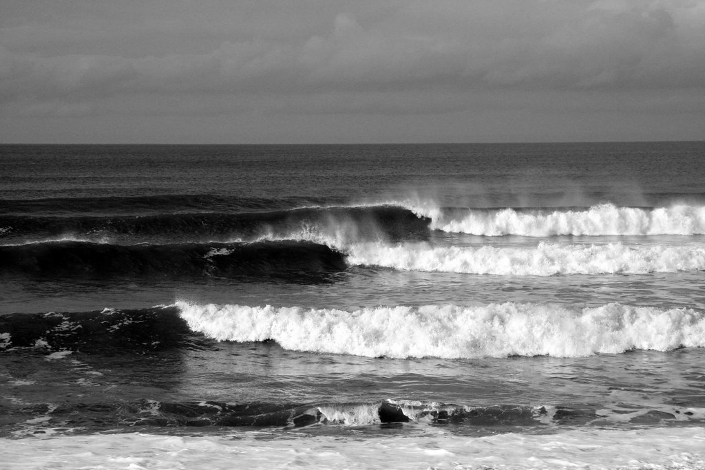 West Country Safari 2009 Nine nights away from London town… Flickr