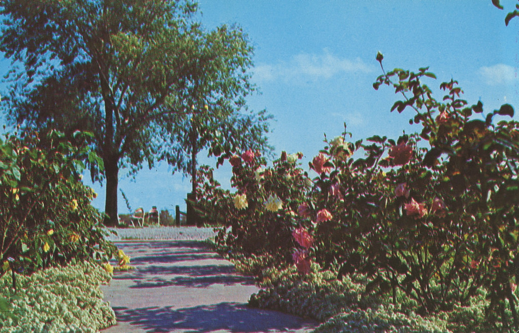 Strongbow Turkey Inn & Farm, circa 1960s Valparaiso, Indiana a photo on Flickriver