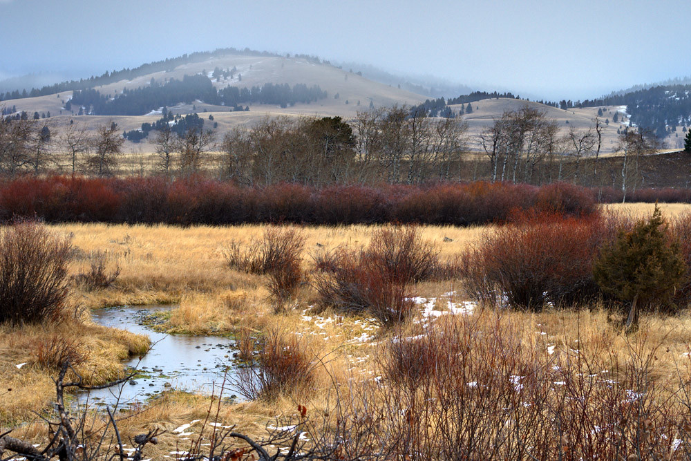 Montana general 01 Flickr