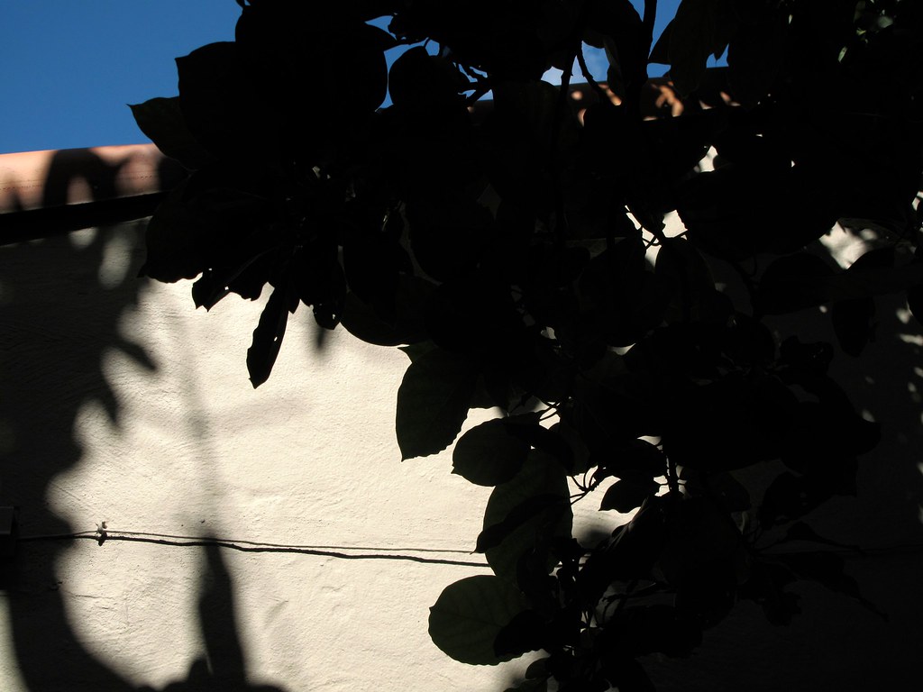 silhouette Miami Fla orestes gonzalez Flickr