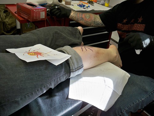 marbled orb weaver tattoo Claire's newest addition the ma… Flickr