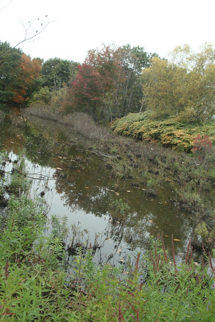 pond area oct09 014 Jacques Pond area (Mt. Vernon Neighbor… Flickr