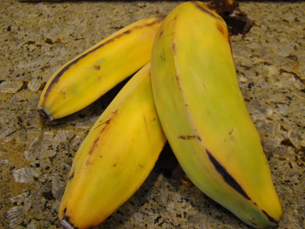 Burro Bananas A rich vivid dark green and chubbier than a … Flickr