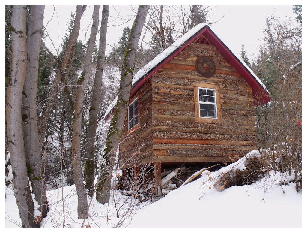 First Snow Porter Fork Trail (112011) Flickr