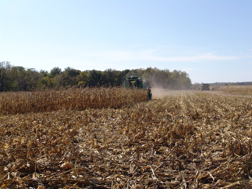Harvest at the Glenn Caldwell farm, KS U.S. Grains Council Flickr