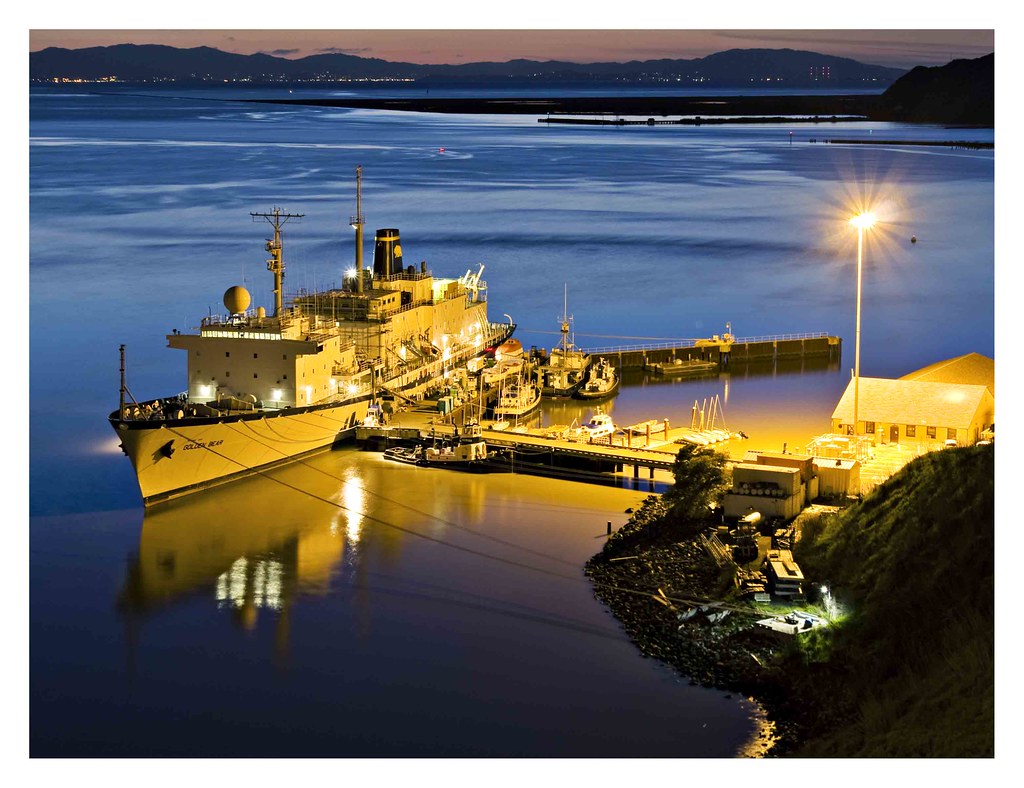 Golden Bear This was taken … Flickr