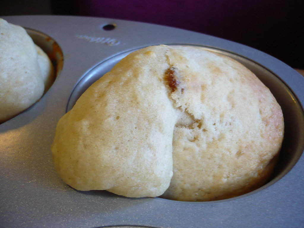 Anaemic elephant seal /sultana muffin Sarah Flickr