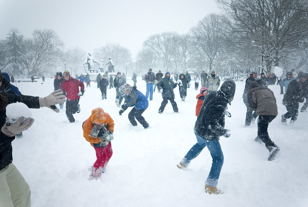 Snowball Fight The snowball fight in Lincoln Park on Capit… Flickr
