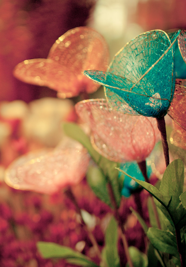 When words escape, flowers speak. And sometime even fake o… Flickr