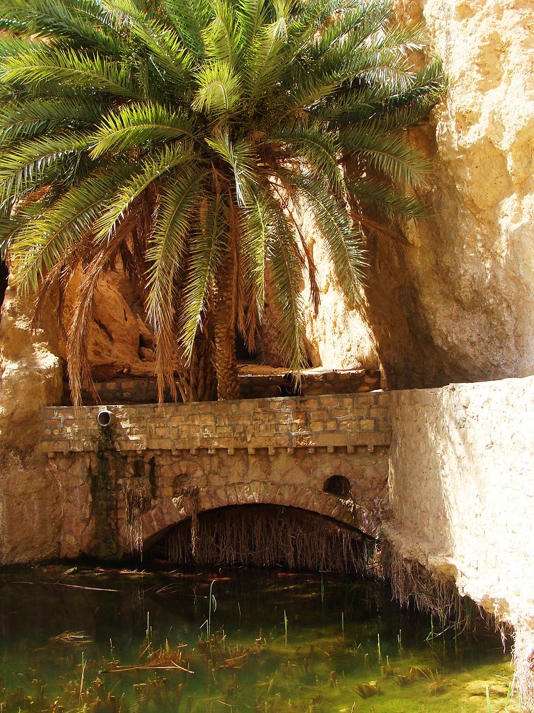 Chebika / Tunisia Chebika is a mountain oasis in southern … Flickr