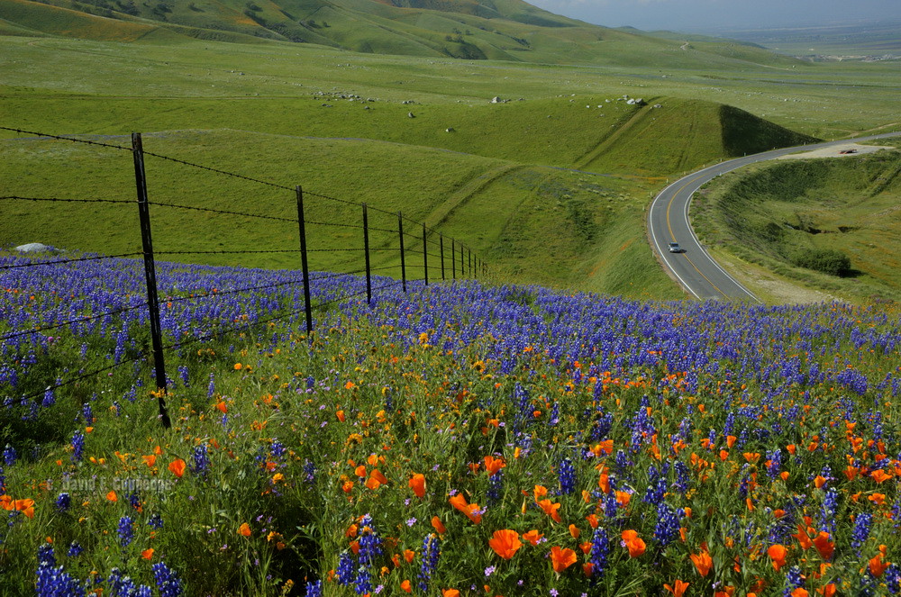Tehachapi bounty Highway 223 east of Arvin winds up into t… Flickr