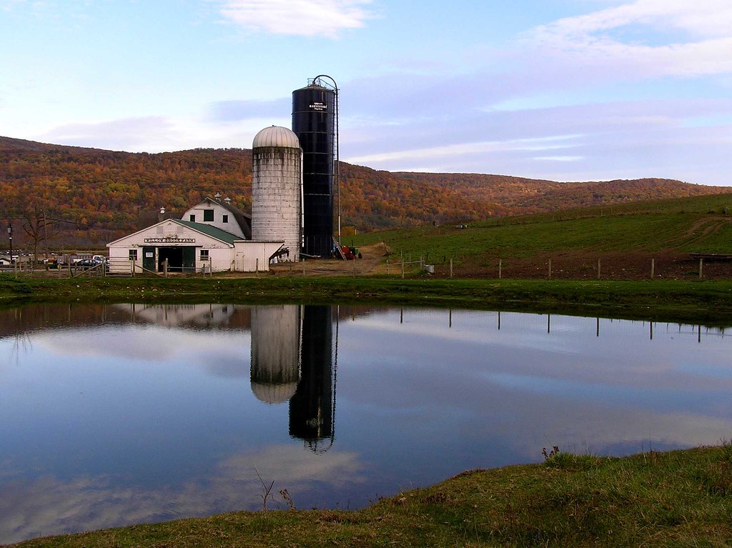 Fall at Willow Brook Autumn scenes near my home. This is a… Flickr