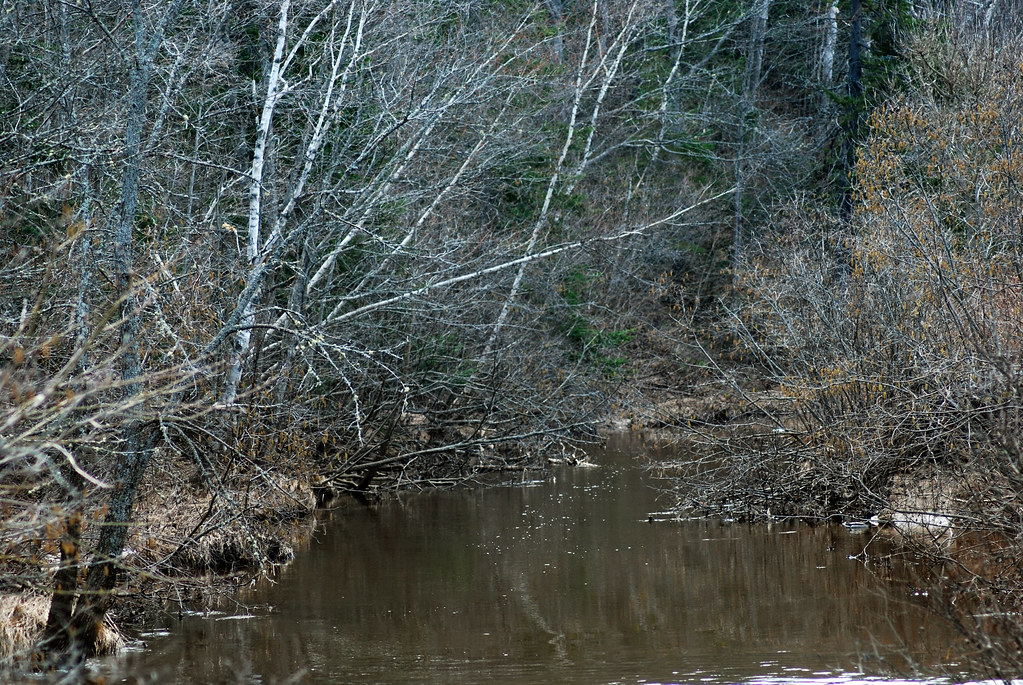 Centennial Park Centennial Park, Moncton, New Brunswick Stephen Downes Flickr