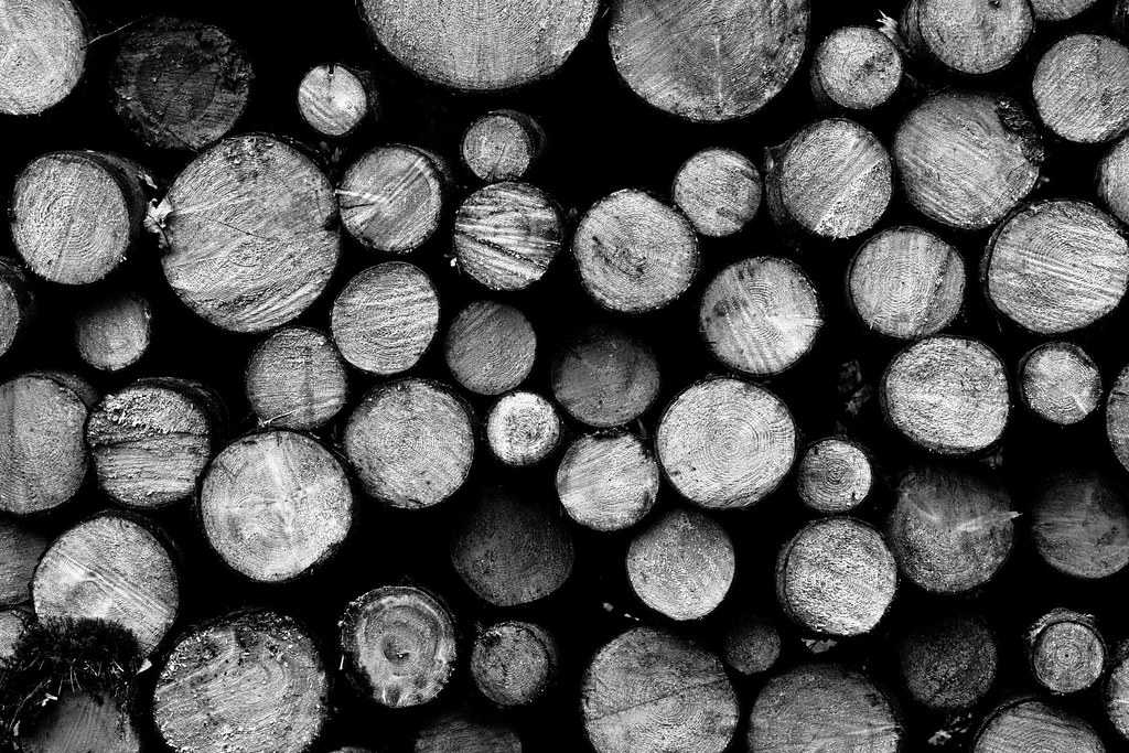 timber in the log © All rights reserved rotkiv1991 Flickr