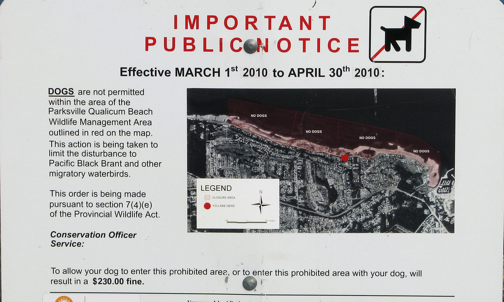 Dog Information.No Dogs Parksville Qualicum Beach… Flickr