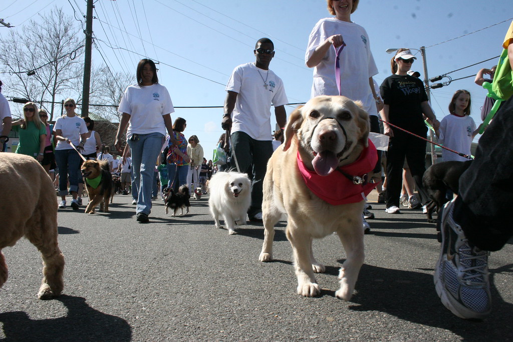 Richmond SPCA Dog Jog and 5K Run Saturday, March 20, 2010… Flickr