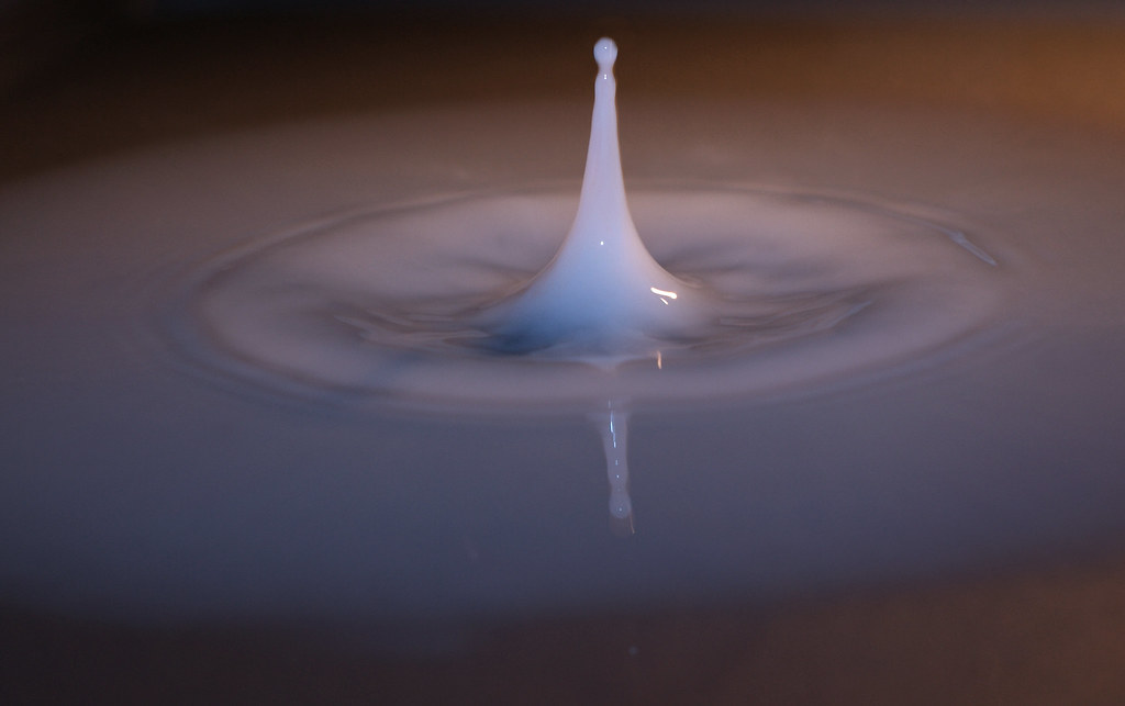 milk drop This was taken in a tray of water with milk drop… Flickr