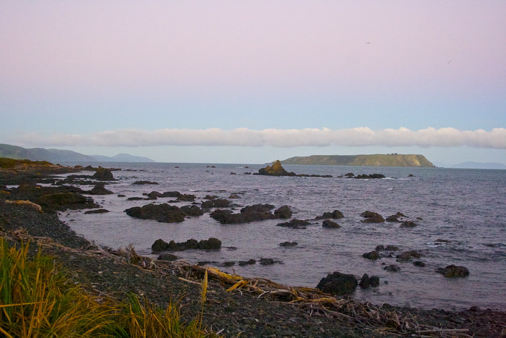 Hongoeka Bay, Plimmerton Coast, Wellngton, New Zealand Flickr