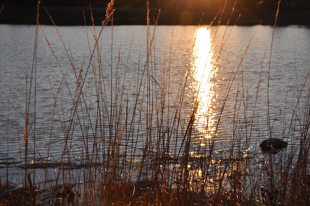 Elevation of Lands' End, B Yorktown Shopping Center, Lombard, IL, USA