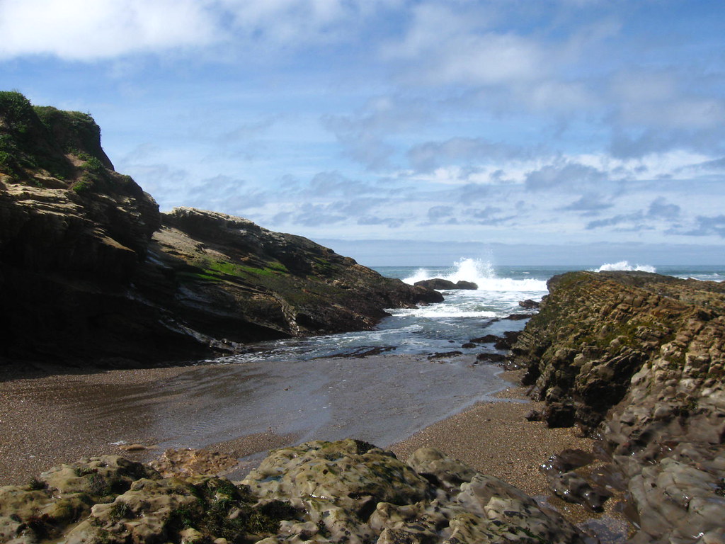 Pismo March 2010 025 Schooner's Cove, Montana de oro State… Ricky