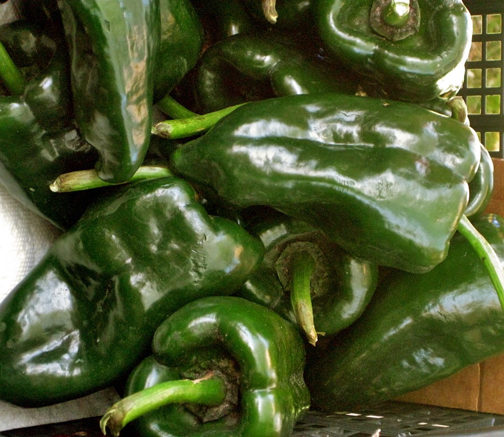 Locally Grown Organic Mexican Peppers Lots of Flavor IMG_6… Flickr