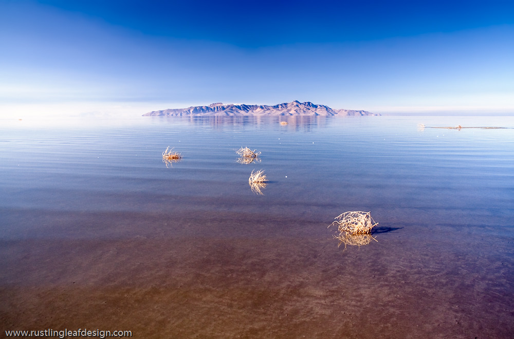 Stansbury Island, Great Salt Lake, Utah Scott Stringham Flickr