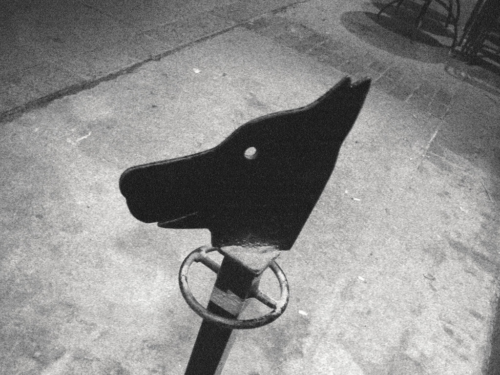 Dog Leash Pole Toronto is probably the most dogfriendly l… Flickr