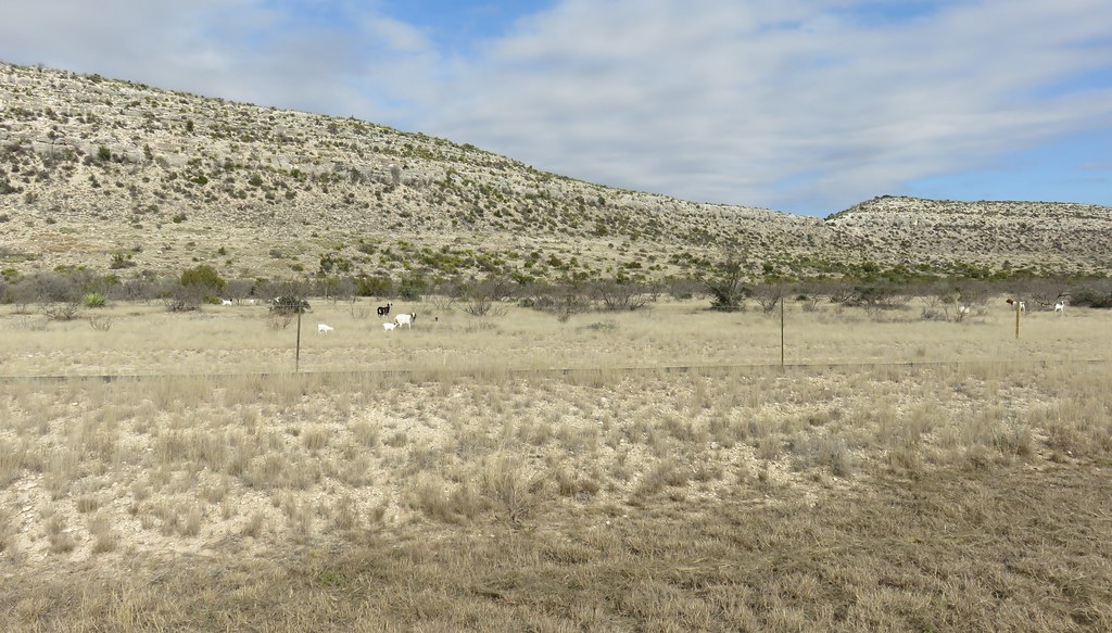 TransPecos Landscape (Pecos County, Texas) As seen from T… Flickr