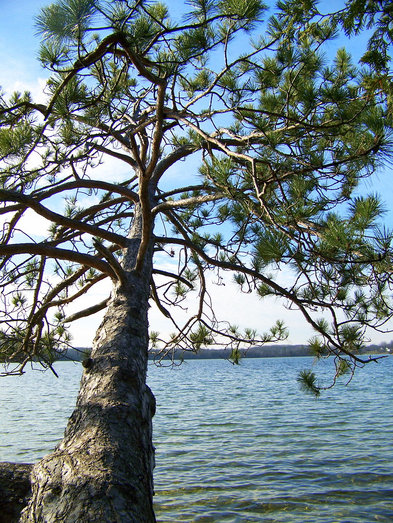 Jewell Lake Boat Launch area, Jewell Lake, Barton City, MI… Pic