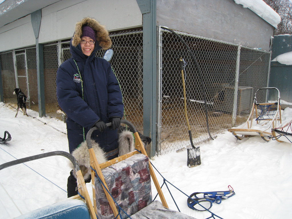 Dog Sledding At Beck's Kennels in Yellowknife. Mack Male Flickr