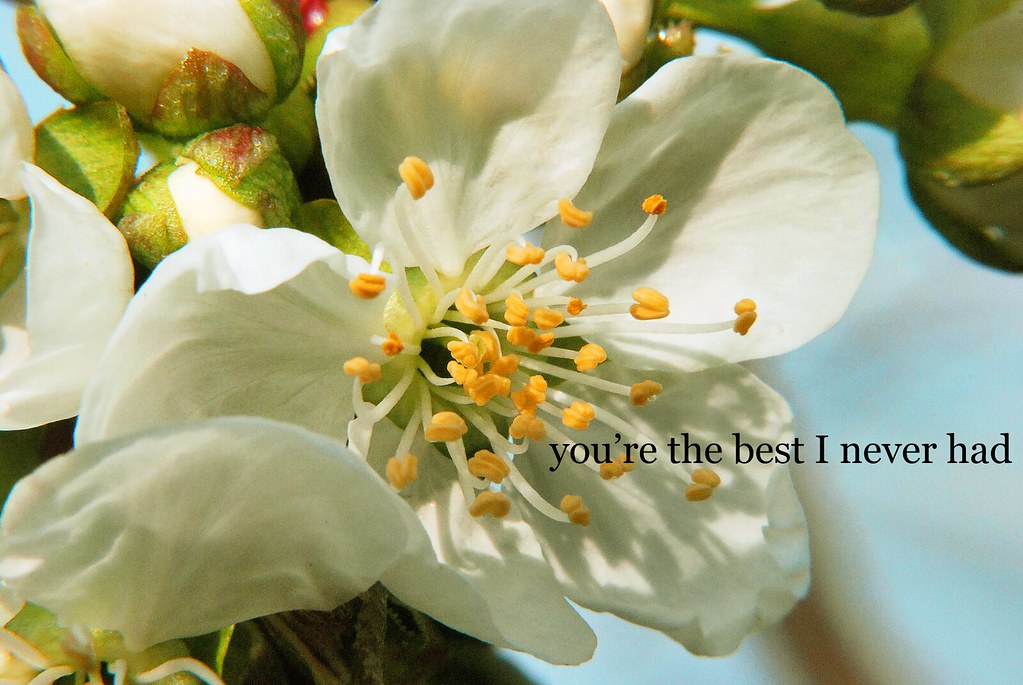 you're the best I never had First time using my macro atta… Flickr