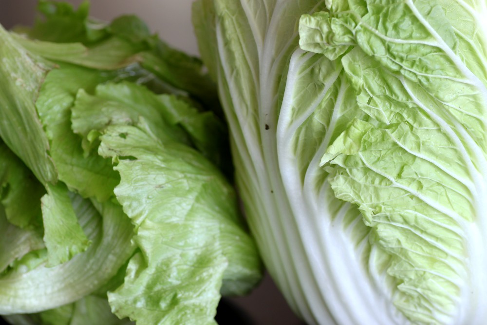 CSA share 4/6/10 leaf lettuce and Napa cabbage Stacy Spensley Flickr