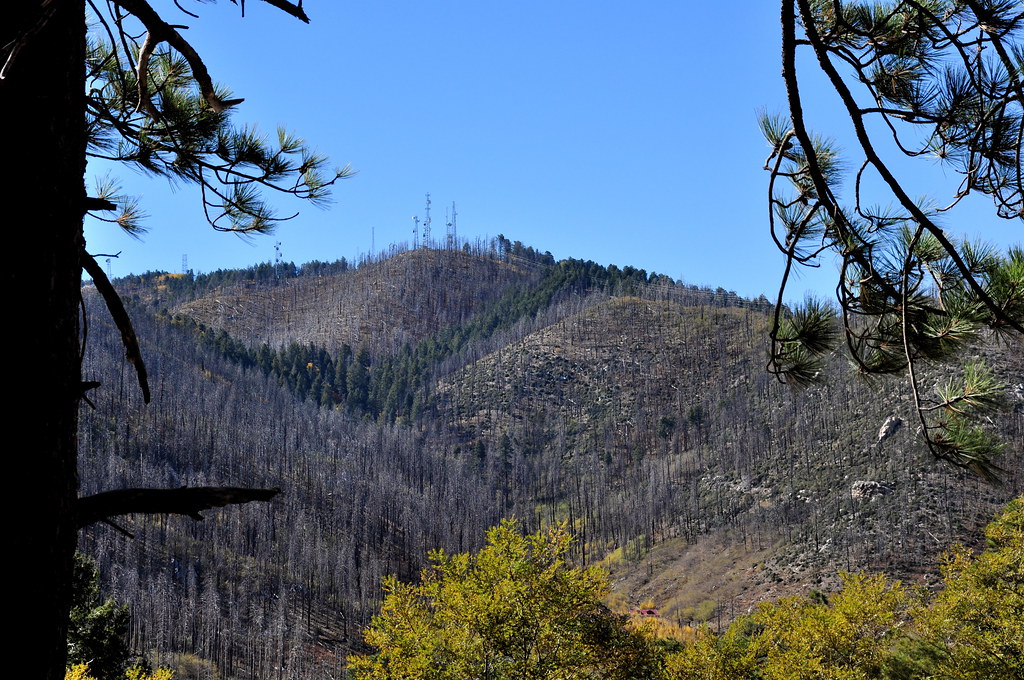 Mt Lemmon Special Events 2023 Fire damage up to the towers Evidence of Mt Lemmon fire st… Flickr