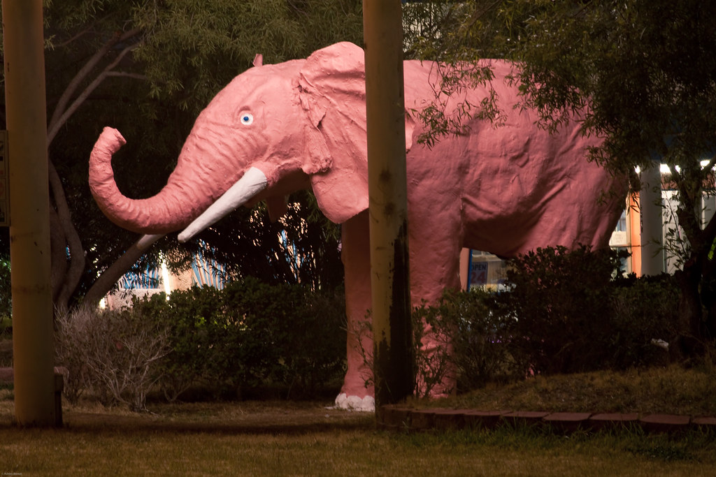 The Pink Elephant (Odd, 39/365) Really, a Pink Elephant ou… Flickr