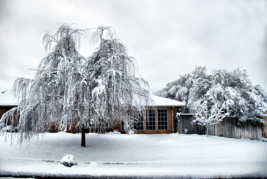 Home Snow Storm Dallas Fort Worth Texas Keller Winter Weat… Flickr
