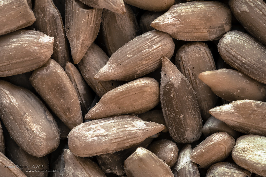 Sunflower seeds Daniel Kulinski Flickr