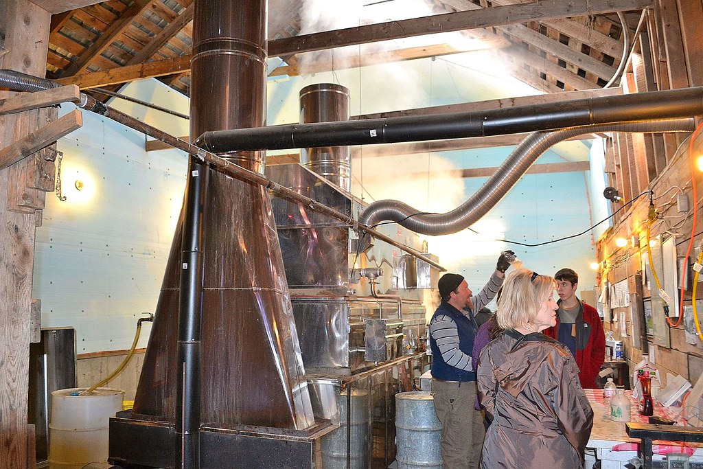 Making Maple Syrup Sugarbush Farm, Woodstock, VT, April 10… dtroyka