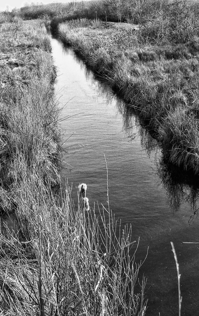 Ditched Centennial Park, Tsawwassen. Back to editing some … Flickr