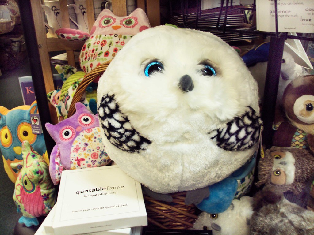 Stuffed owl at The Cross Eyed Owl Gift Shop in Valatie, NY… Flickr
