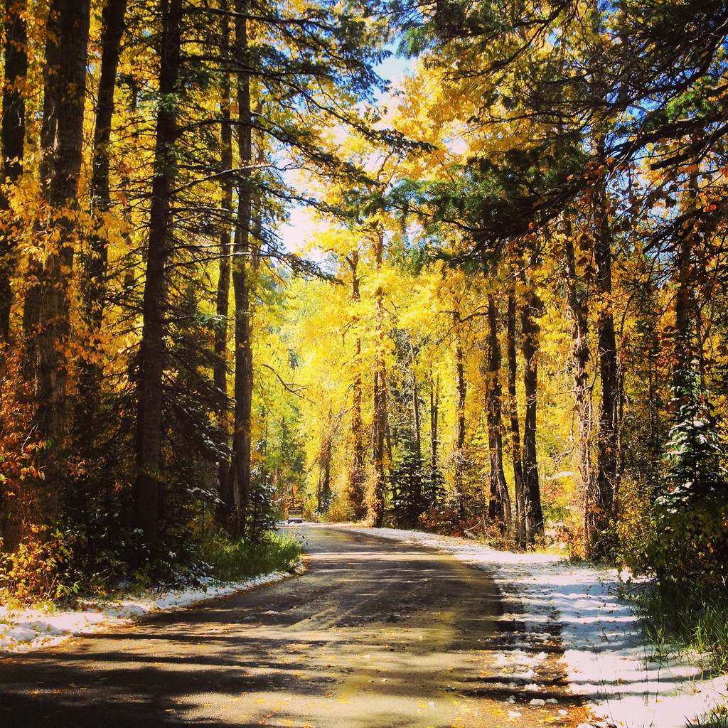 Late Fall, Millcreek Canyon UT a photo on Flickriver