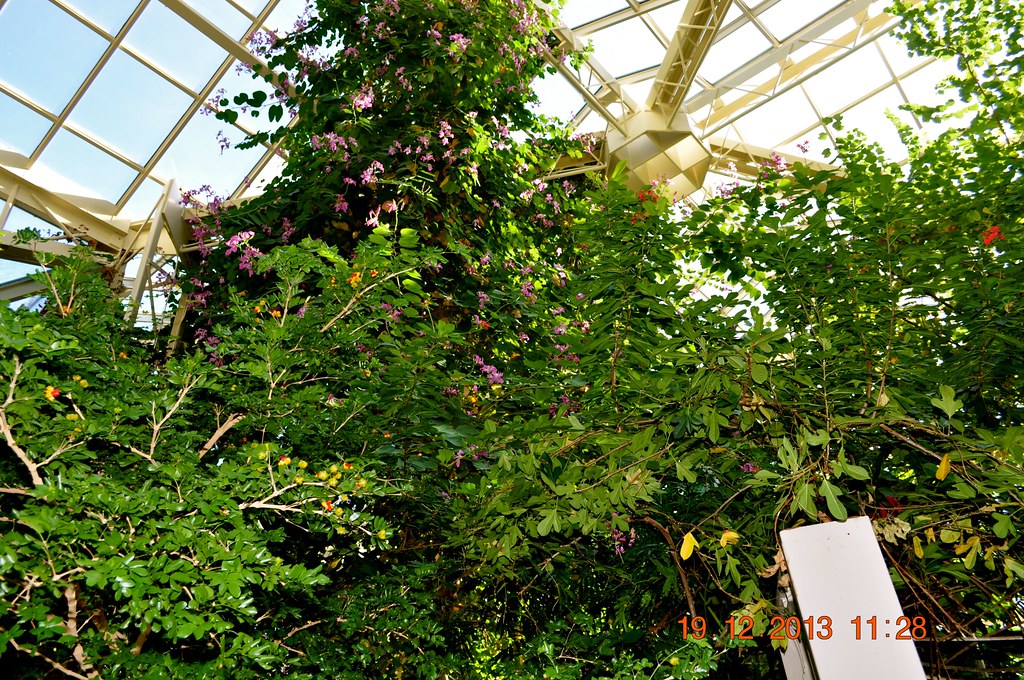 Cecil B Day Butterfly House Callaway Gardens PIne Mt GA Flickr