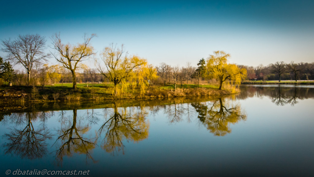 untitled074730 early morning pond Oakton Community Coll… D. B