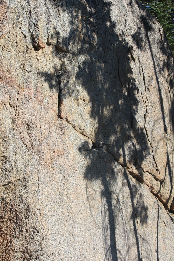 Untitled Harold Wood Flickr