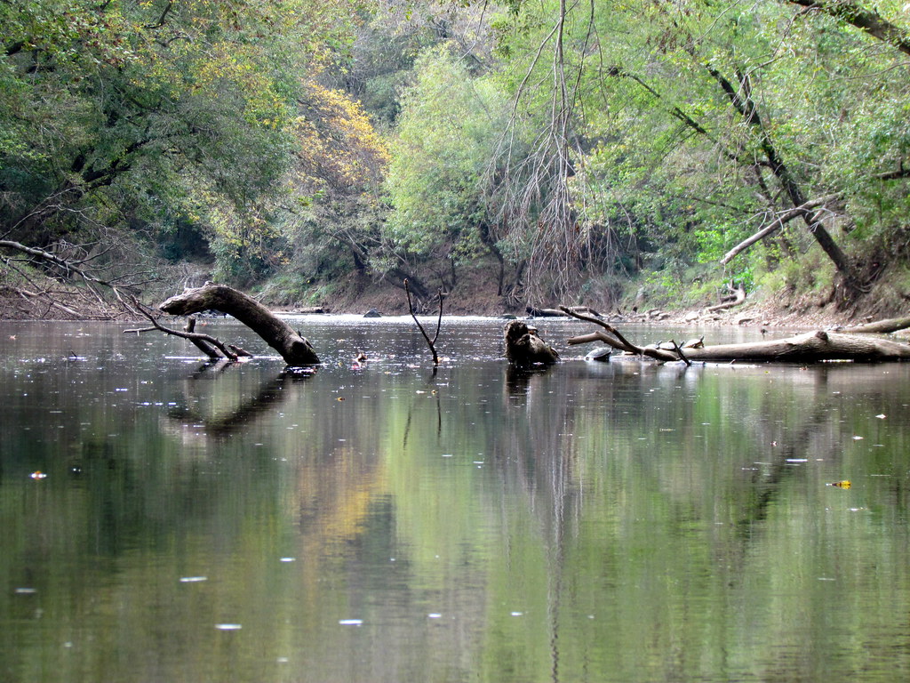 Deep River Park Gulf NC 6038 bobistraveling Flickr