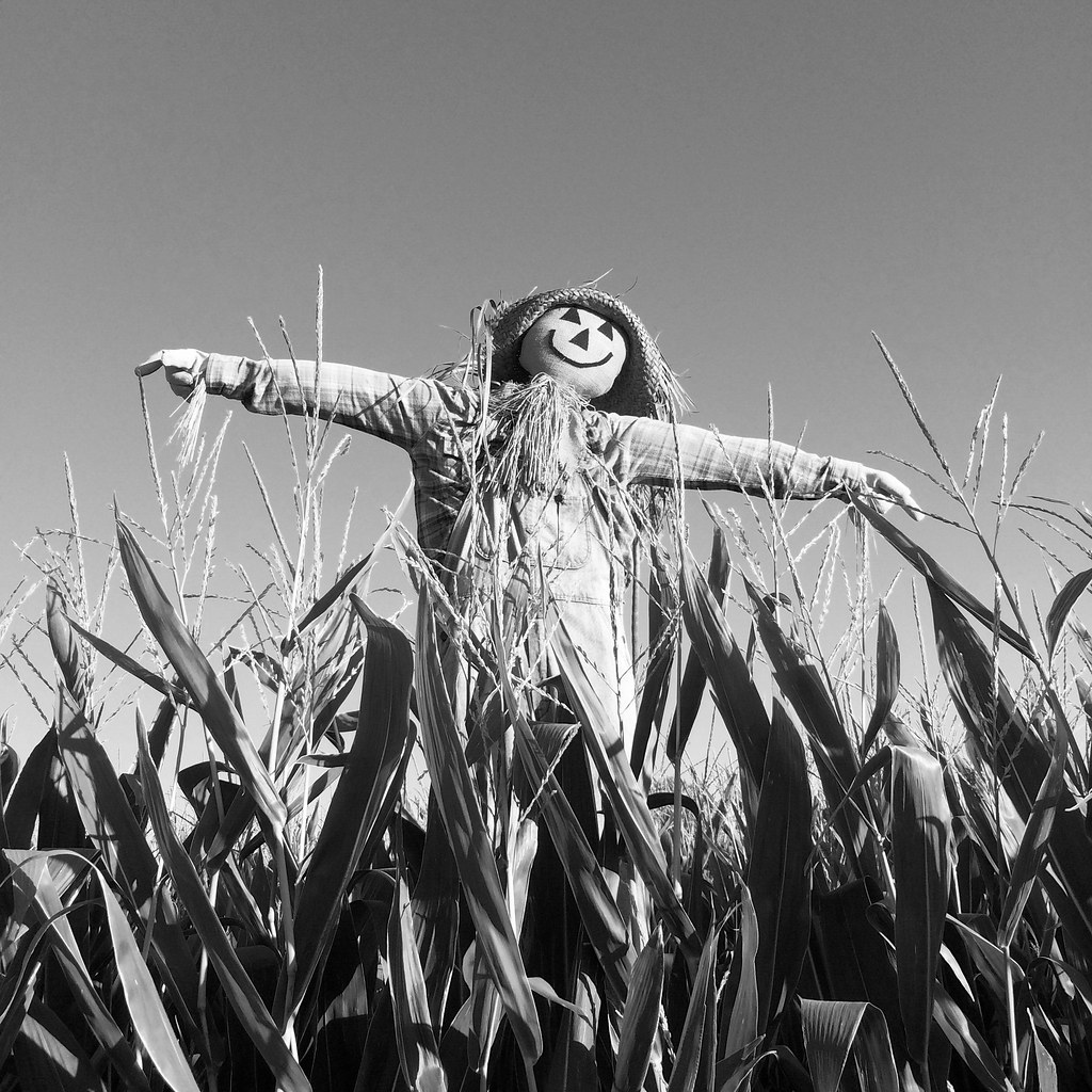 Scarecrow Lane Farms Glenn Beltz Flickr