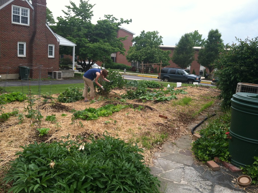 Albright College Garden Pictures of the permaculture style… Flickr