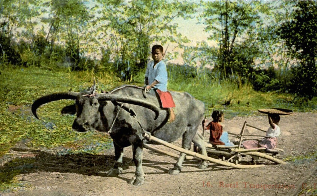 Rural transportation, Manila, Philippines, before 1929 Flickr
